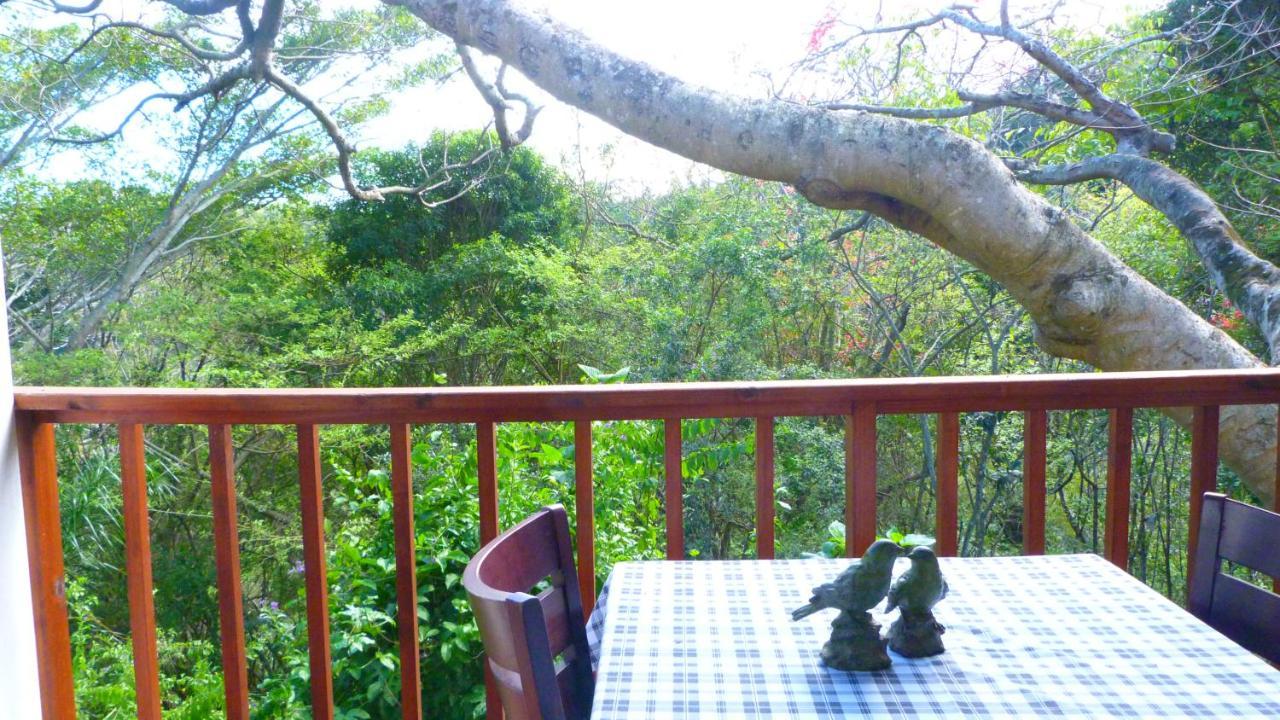 Royston Hall Historical Guesthouse Umtentweni Kültér fotó